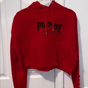 Purpose World Tour Cropped Hoodie